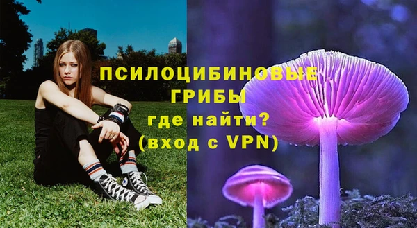 марки nbome Алзамай