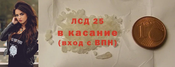 стафф Алексин