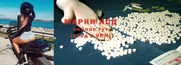 стафф Алексин