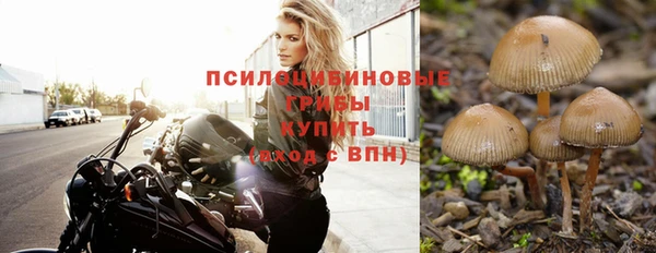 стафф Алексин